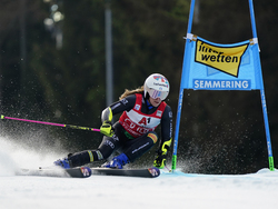 Austria Alpine Skiing World Cup