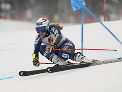 Austria Alpine Skiing World Cup