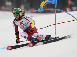 Austria Alpine Skiing World Cup