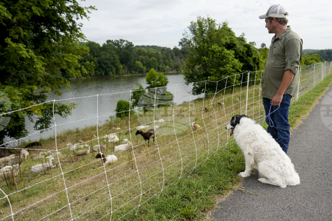 Формата на черепа на кучетата не влияе върху работните им качества