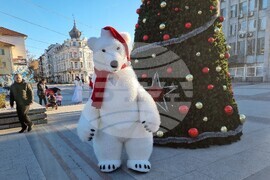 Видин - "Зимна приказка" - празник