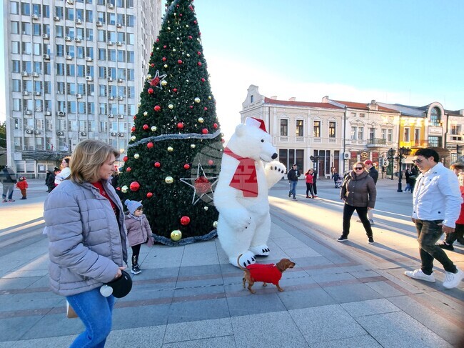 Видин - "Зимна приказка" - празник