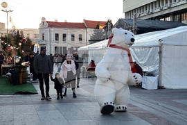 Видин - "Зимна приказка" - празник