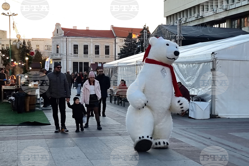 Видин - "Зимна приказка" - празник