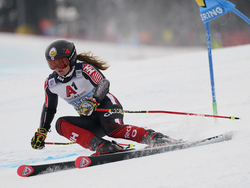 Austria Alpine Skiing World Cup