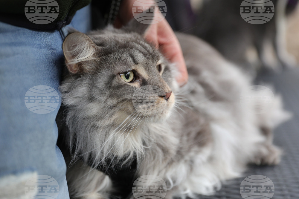 The Weather on October 8