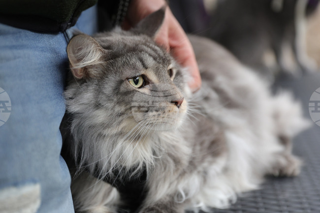 The Weather on October 8