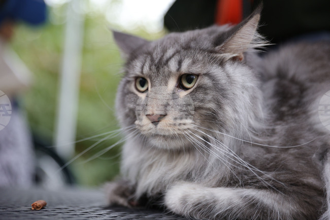 The Weather on February 4