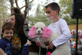 Русе - Парад на домашни любимци