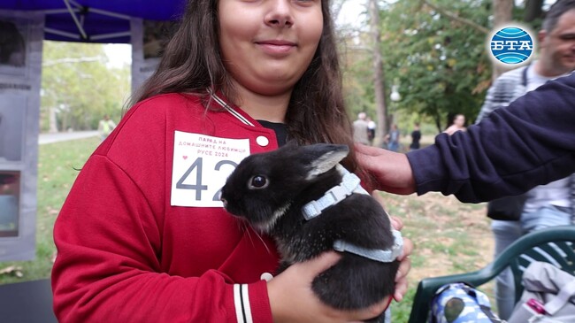 Около 50 стопани с кучета, котки и екзотични животни се включиха в Парад на домашните любимци в Русе