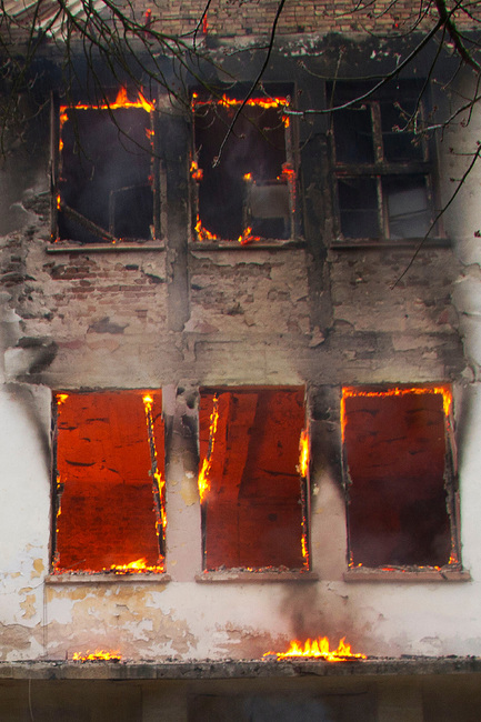 Общо 53 пожара са потушени в страната през изминалото денонощие