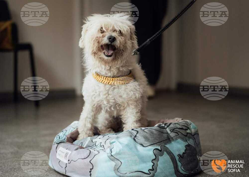 Bulgarian Company Turns Old Textiles into New Products