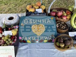 Снимка: Община Стара Загора