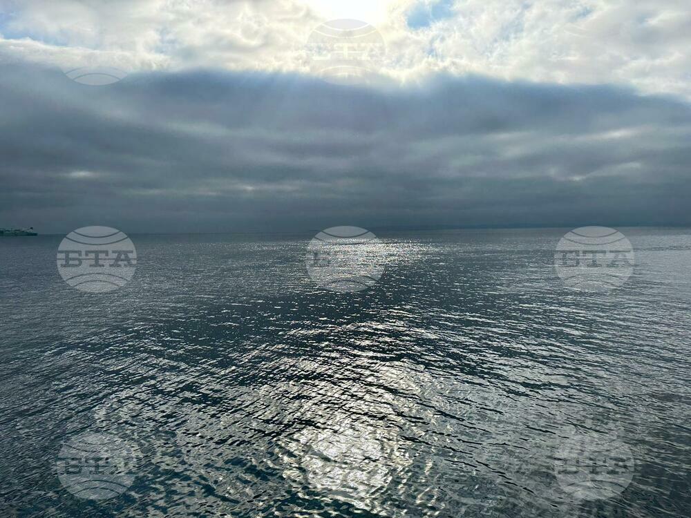 Да бъде опазен Световният океан е каузата, около която се обединиха български учени и „Грийнпийс – България“