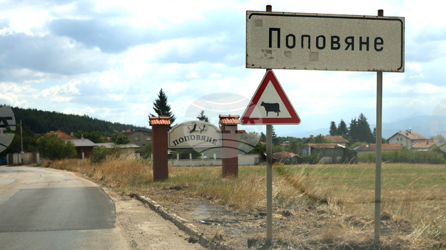 Щъркелово гнездо е паднало от електрически стълб в самоковското село Поповяне вследствие на силния вятър