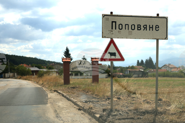 Щъркелово гнездо е паднало от електрически стълб в самоковското село Поповяне вследствие на силния вятър