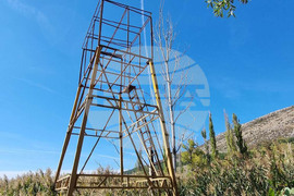 Драгоман - Драгоманско блато - птици - опръстеняване