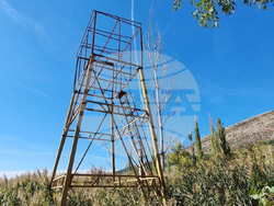 Драгоман - Драгоманско блато - птици - опръстеняване