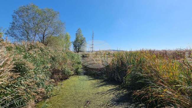 С разходка до Драгоманското блато ще бъде отбелязан Световният ден на влажните зони 