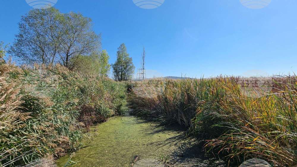 Special Programme at Dragoman Marsh Marks World Wetlands Day
