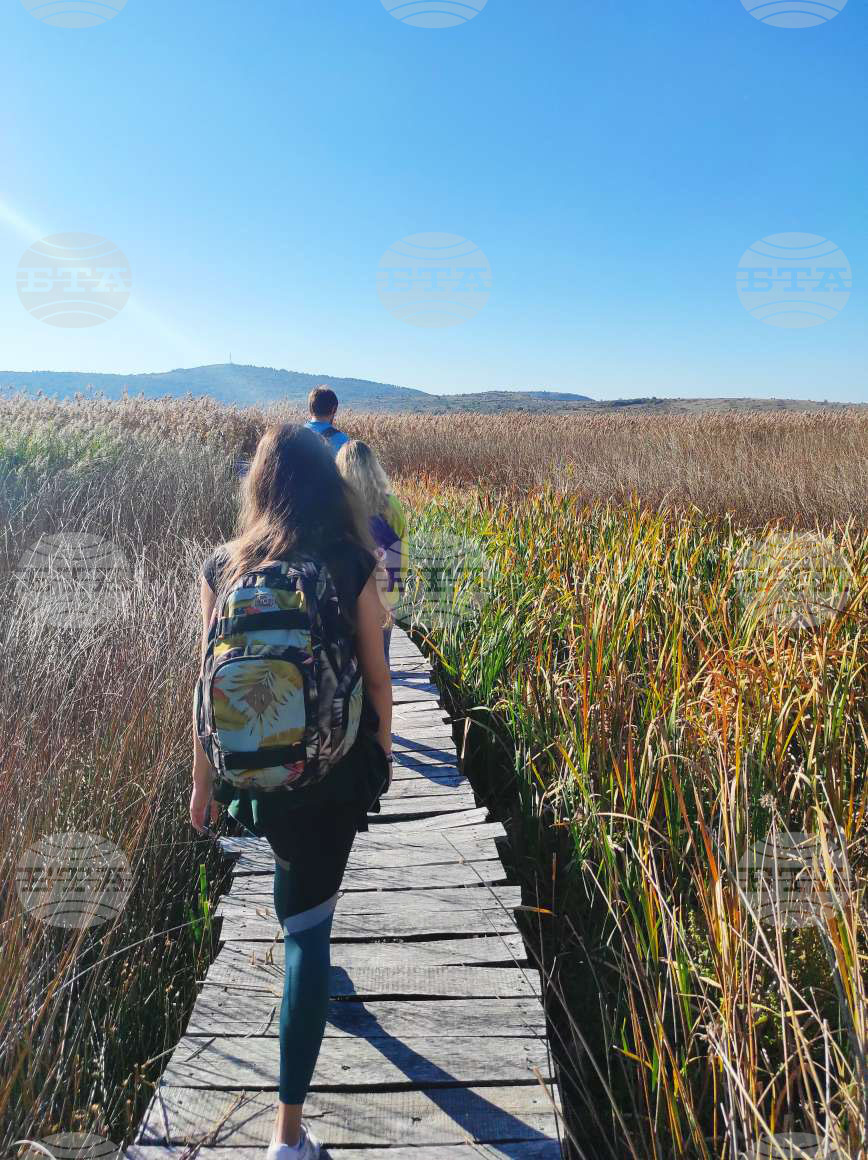 DRAGOMAN MARSH - BIRDS - RINGING