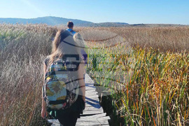 DRAGOMAN MARSH - BIRDS - RINGING
