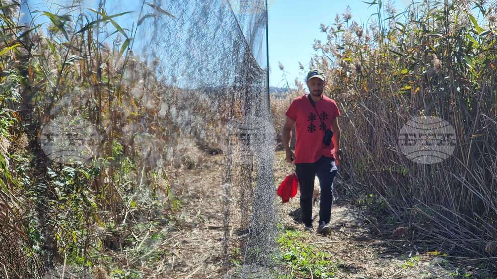 DRAGOMAN MARSH - BIRDS - RINGING