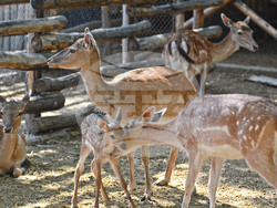 Снимка: Община Варна