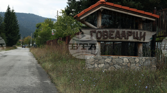Две кучета са открити мъртви в самоковското село Говедарци, взети са за аутопсия 