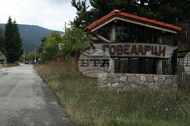 Две кучета са открити мъртви в самоковското село Говедарци, взети са за аутопсия 