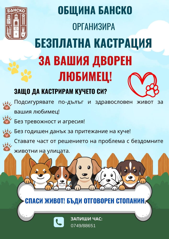 Община Банско стартира кампания за безплатна кастрация на дворни кучета
