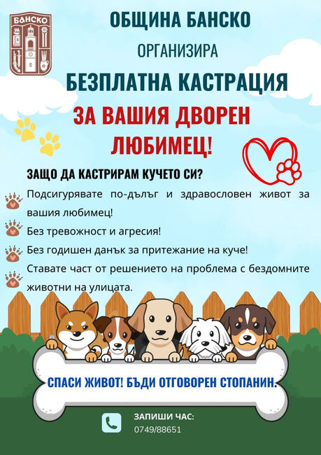 Община Банско стартира кампания за безплатна кастрация на дворни кучета