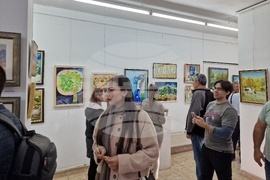 Монтана - художници - есенна изложба