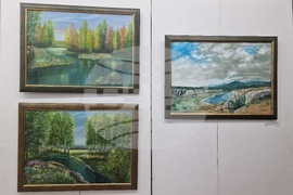 Монтана - художници - есенна изложба