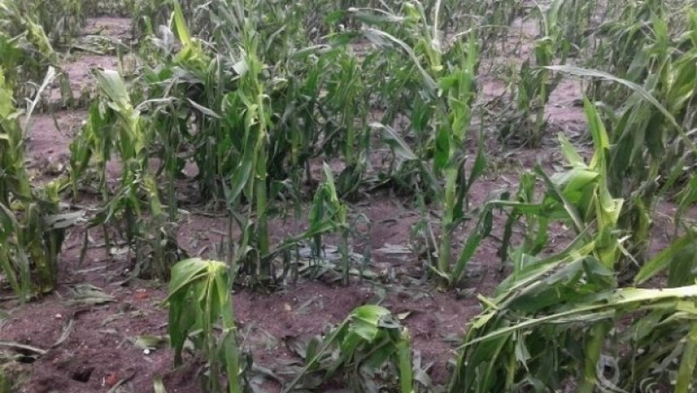 Областна администрация Русе: Изтича срокът за кандидатстване за подпомагане на щетите от природни бедствия