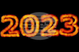 Президентство - Новогодишна украса