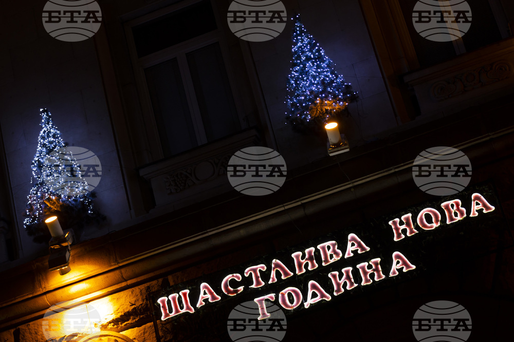 Президентство - Новогодишна украса