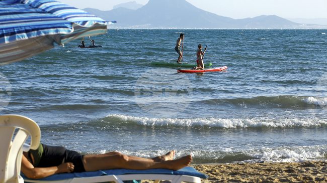 Икономиката на Тунис отбелязва лек ръст, движена от селското стопанство