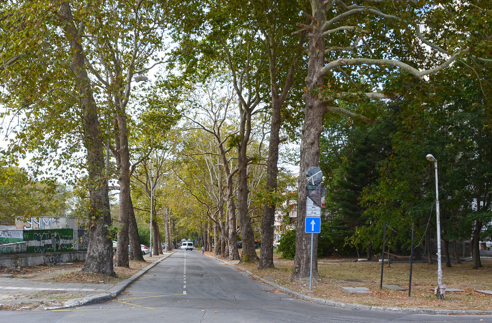 Община Варна ще инвестира близо 3 млн. лв. за модернизация на уличното осветление на кв. „Чайка“