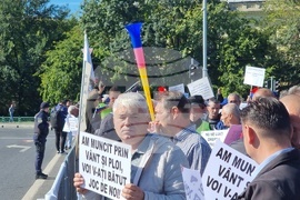 Румъния - миньори и енергетици - протест