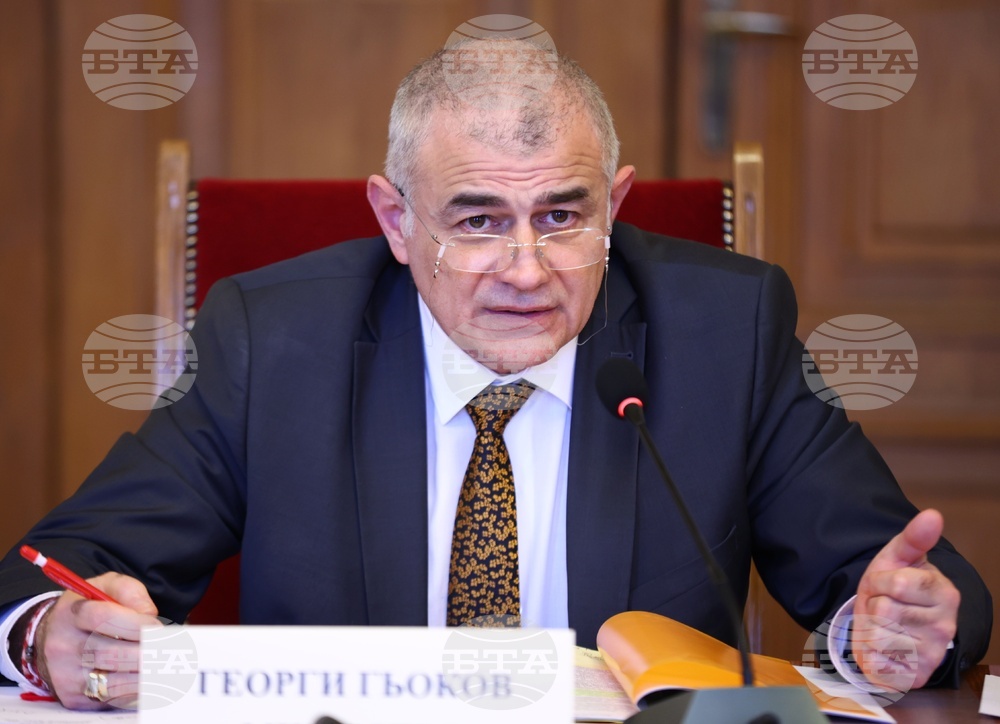 Комисия по труда, социалната и демографската политика - Георги Гьоков - заседание