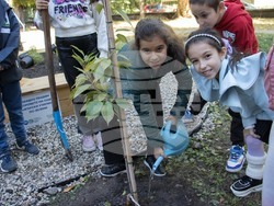 Снимка: Община Плевен