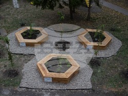 Снимка: Община Плевен