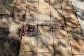 Шумен - липсваща плочка запълнена с кестени