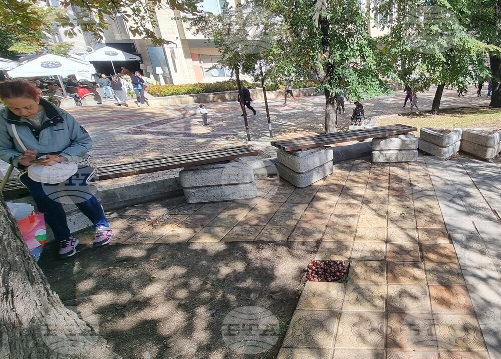Шумен - липсваща плочка запълнена с кестени