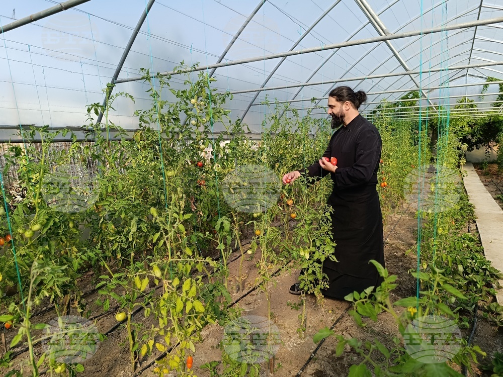 Hieromonk Dimitrie Plans to Establish Romania's First Phytotherapy Clinic