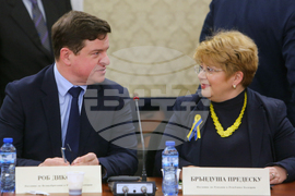 Комисия по енергетика - Бръндуша Предеску - Роб Диксън - заседание