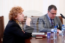 Парламент - Комисия по външна политика 