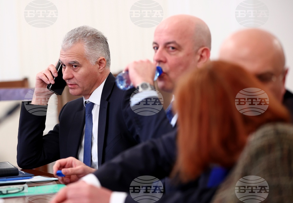 Парламент - Комисия по външна политика