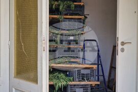 Село Винарско - наркотични вещества - оранжерия